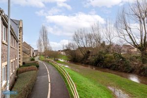 Front Views- click for photo gallery